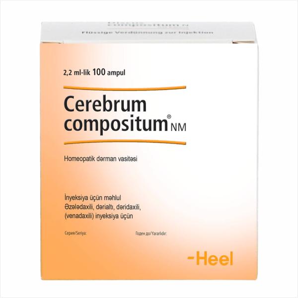 Cerebrum compositum